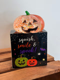 Pumpkin Squishy