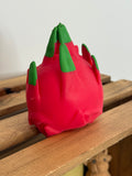 Squishy Big Dragonfruit