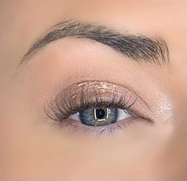 Hazel Press & Go Refill