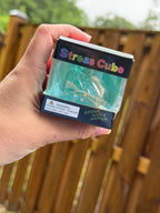 Seashell Cube Squishy