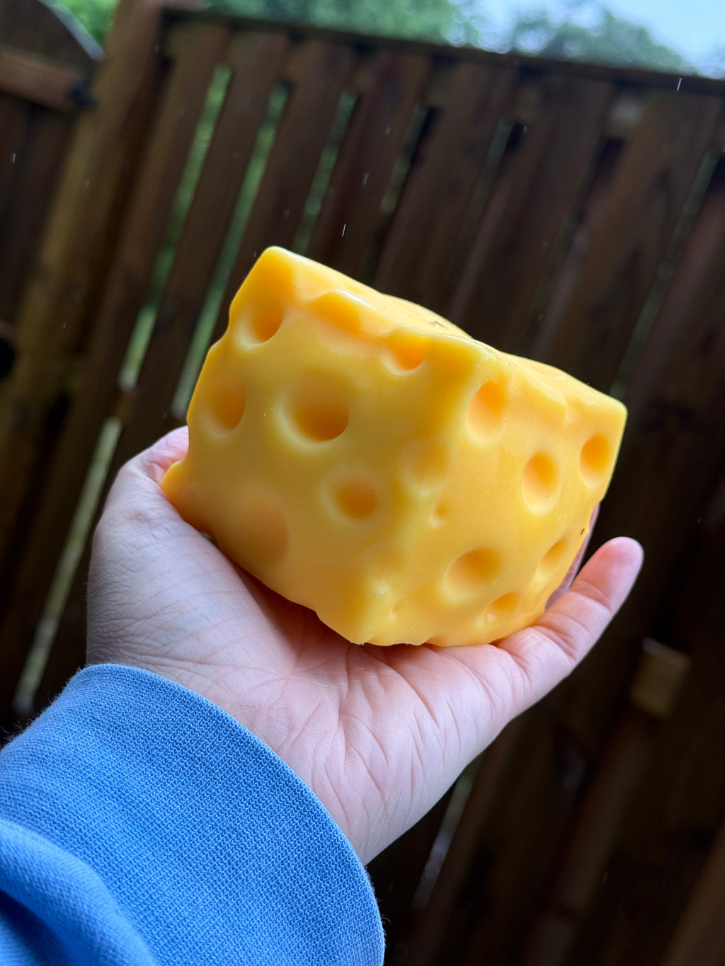 Squishy Big Cheese