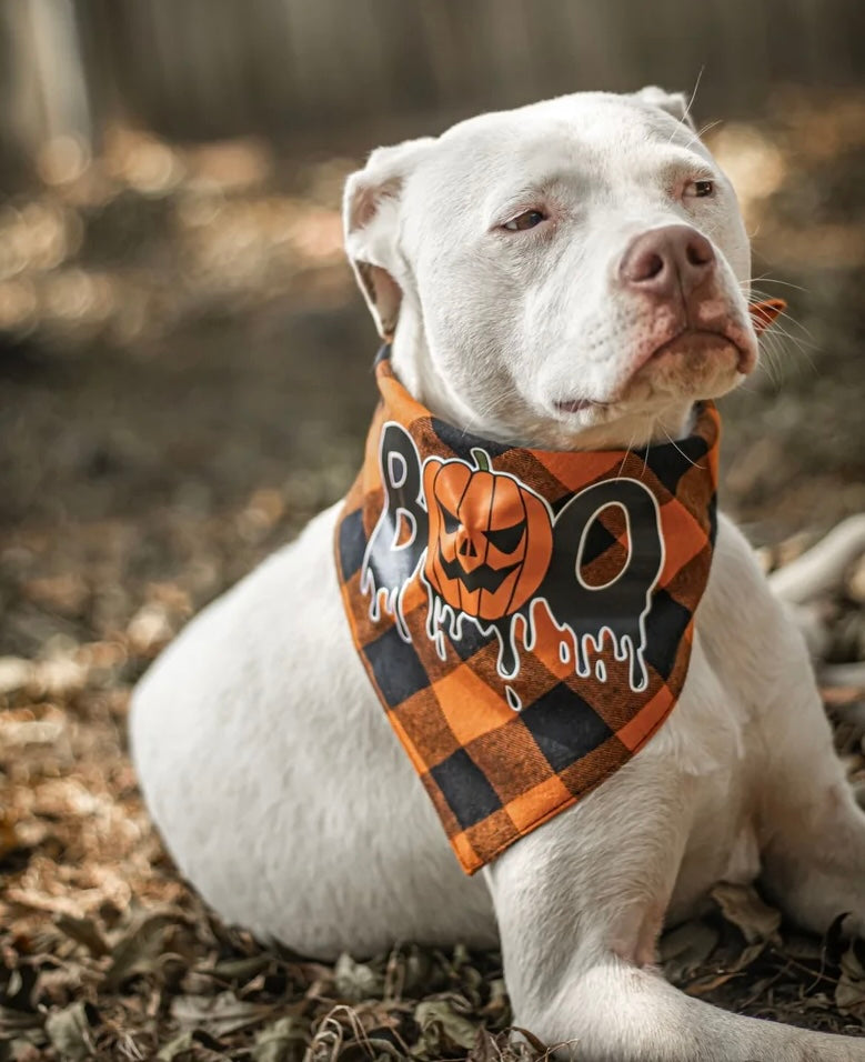 Boo Dog Bandana