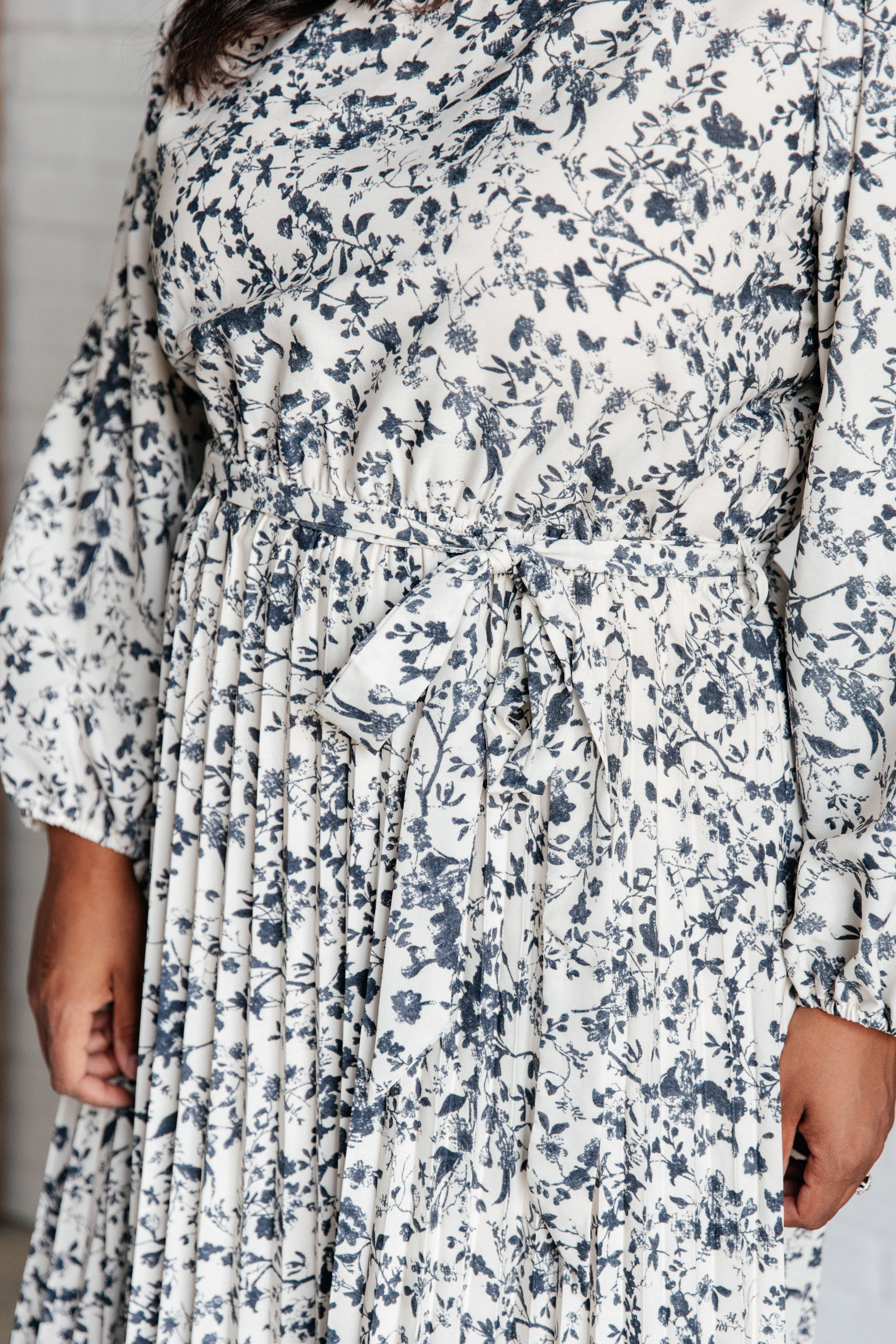 The Afternoon Charm Dress